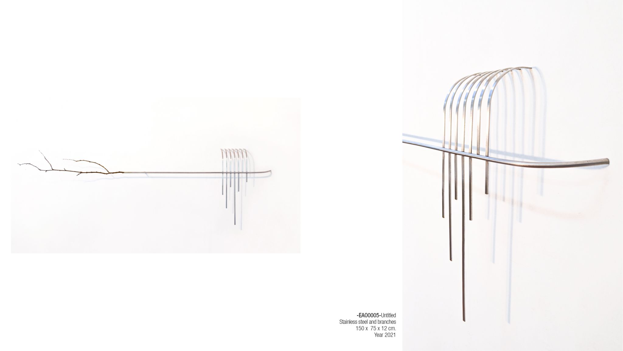 2025 DM port.para web. P29